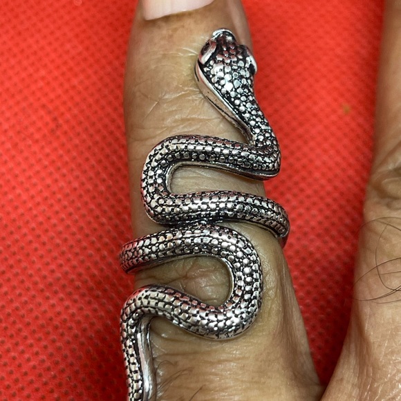 Ring Snake - Picture 3 of 3